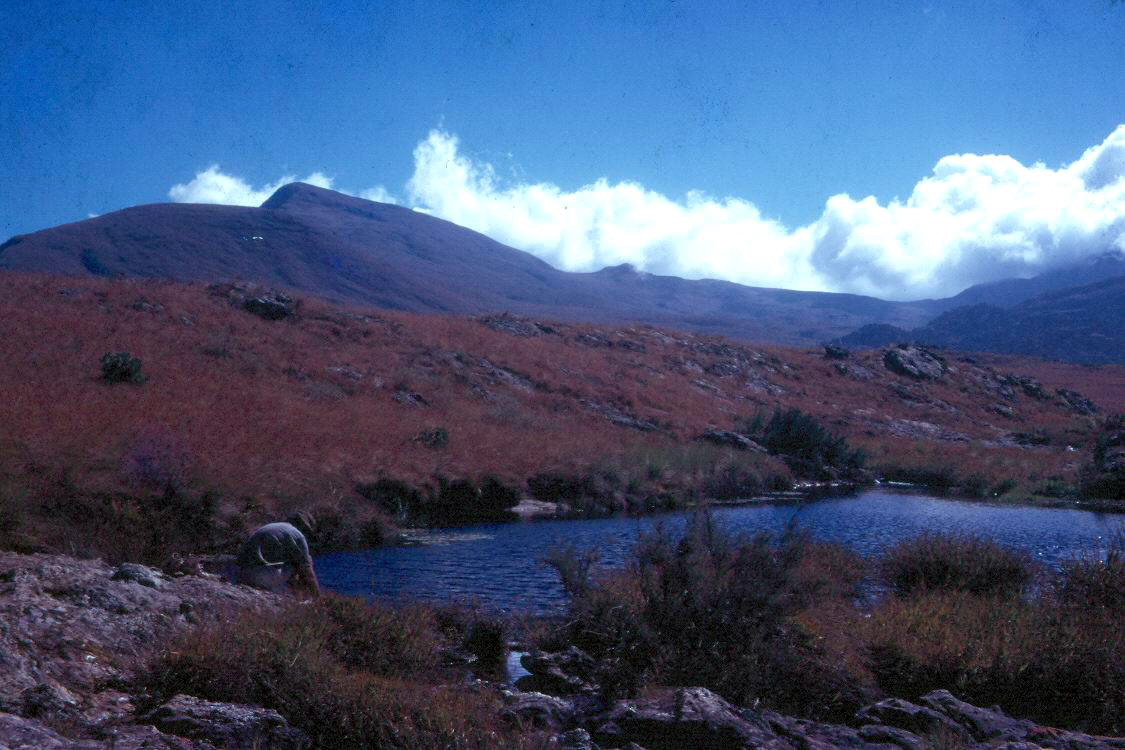 Chimanimani Mountains